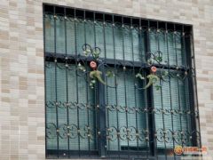 ���ݽ��_�Fˇ���o��-  6